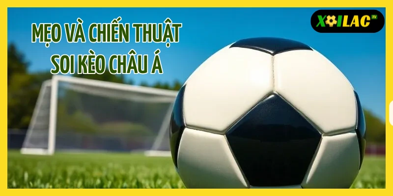 Kèo Châu Á Là Gì? - Hướng Dẫn Toàn Diện từ Cơ Bản đến Nâng Cao 3 Chiến thuật soi kèo châu Á chính xác cho dân cược chuyên nghiệp